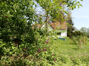Streuobstwiese
